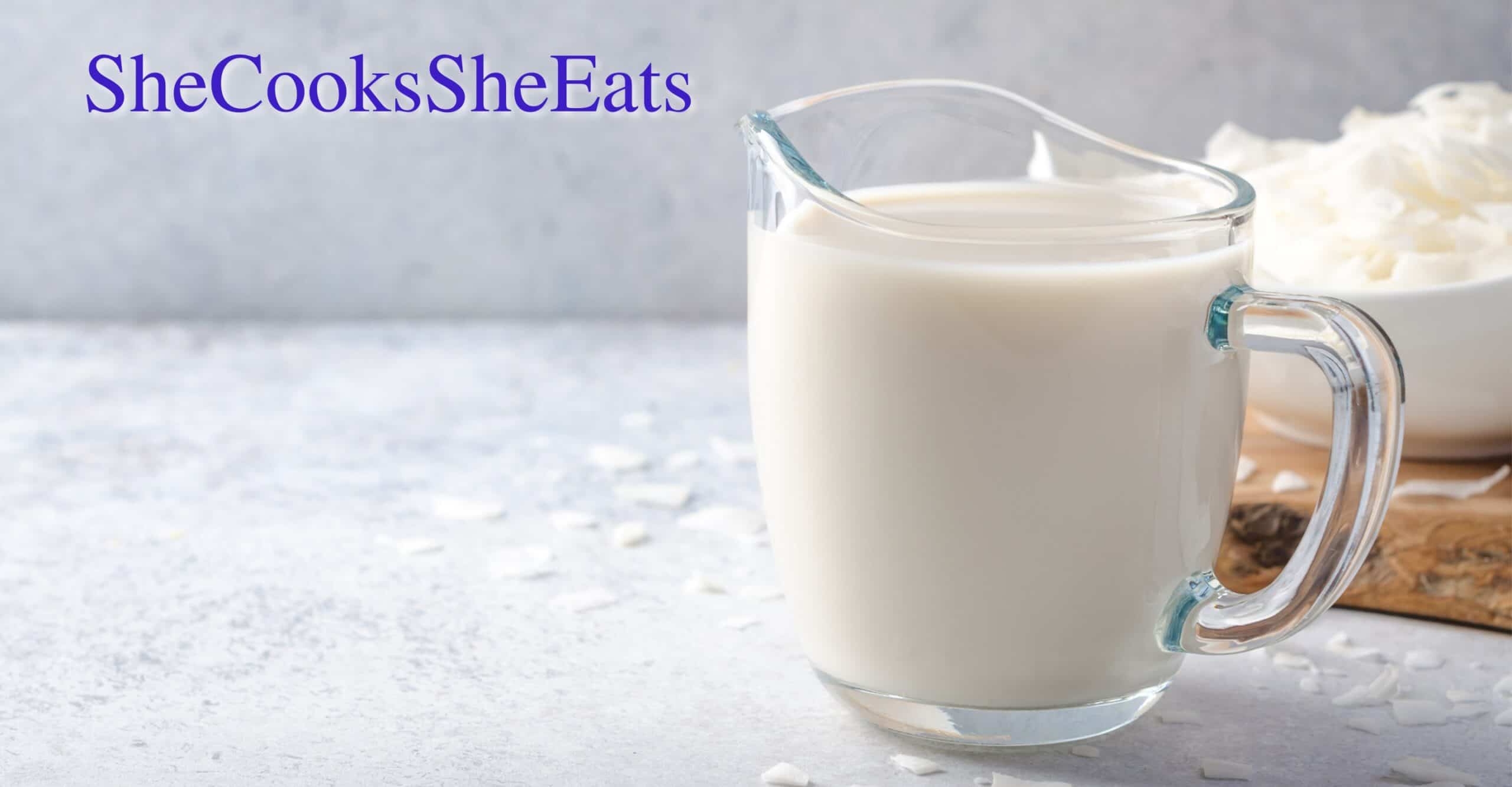 Light Coconut Milk Syns How Many Are There & Low Syn Alternatives