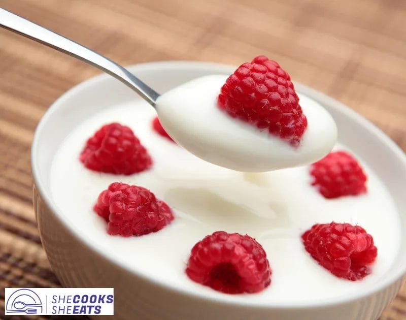 Activia Light Yogurt Syns Shelly Lighting