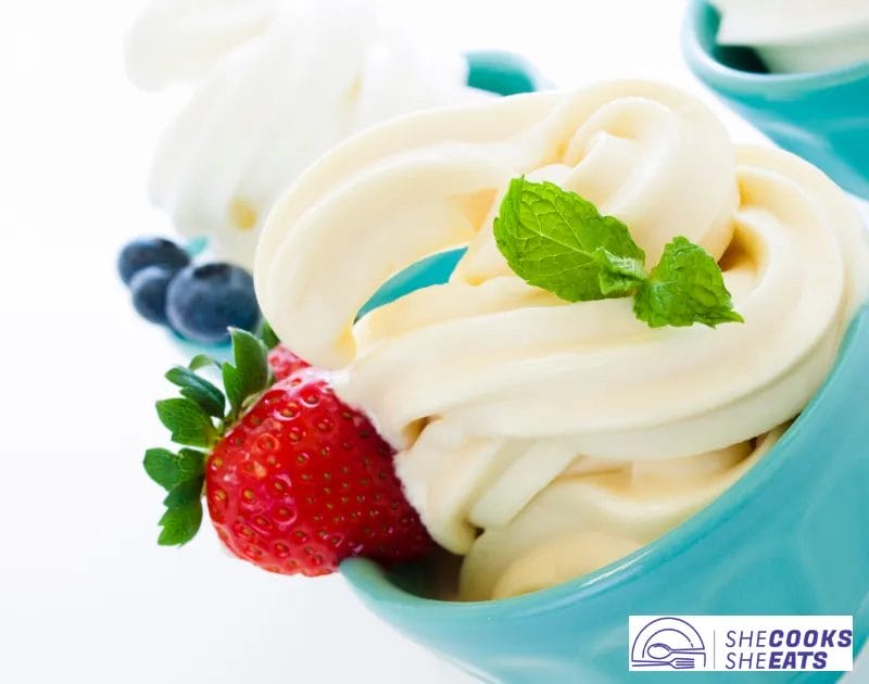 How Many Syns In Nandos Frozen Yogurt? Find Out Here!