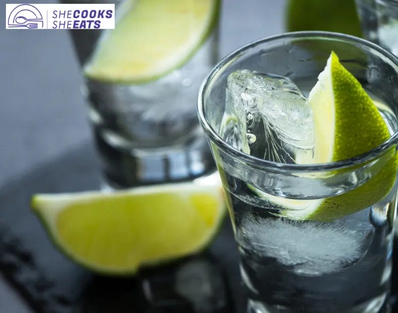 How Many Syns In Vodka Lime & Soda? Find Out Here!