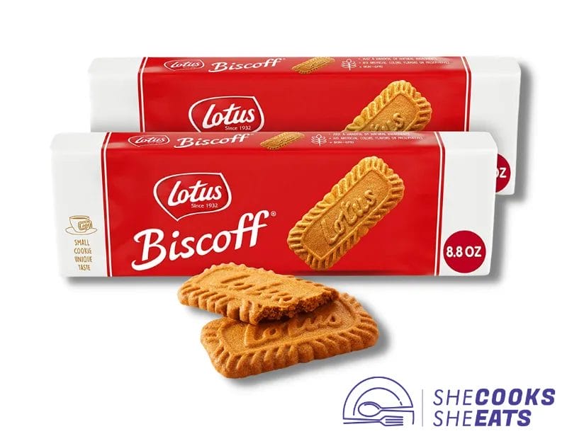 How Many Syns In A Lotus Biscoff? & Lower Syn Alternatives!