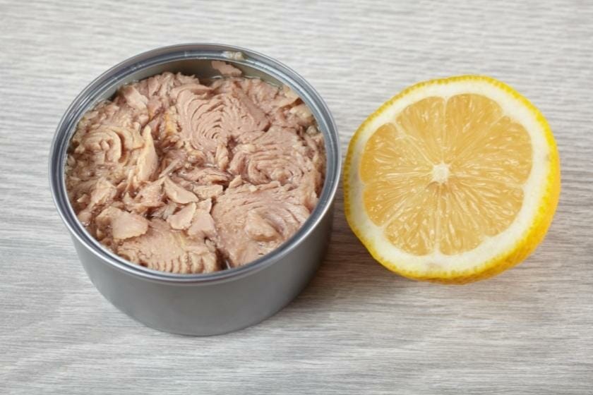 How Many Syns In Tin Of Tuna (in brine & oil)? Find Out Here!