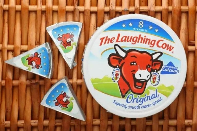 How Many Syns In Dairylea Light Triangles? Find Out Here!
