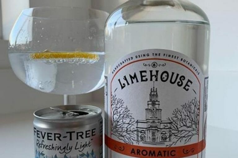 How Many Syns In A Gin & Slimline Tonic? Find Out Here!
