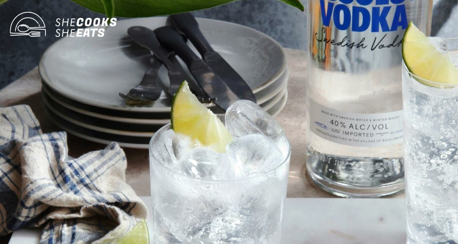 How Many Syns In Vodka & Slimline Tonic? Find Out Here!