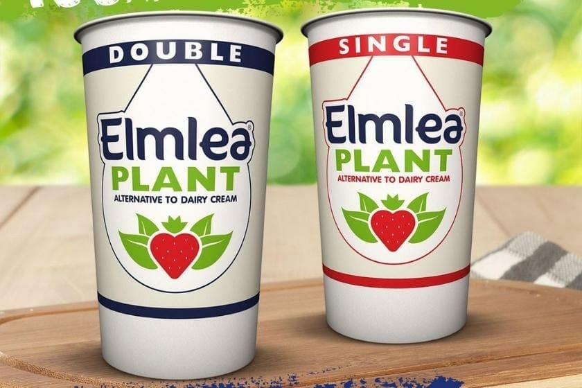 How Many Syns In Elmlea Double Cream? Find Out Here!