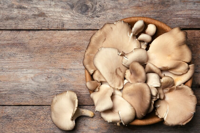 Syn Values Of Mushrooms
