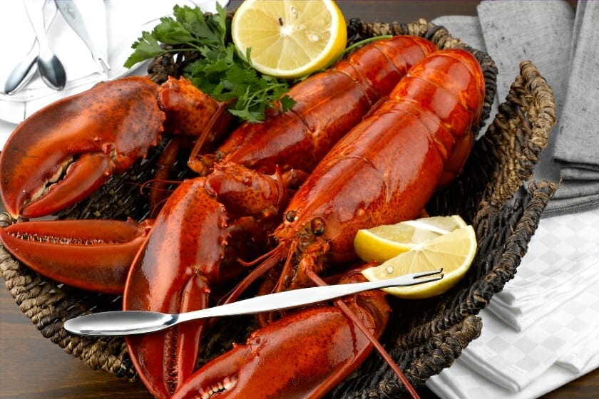 What to Serve with Lobster 10 MouthWatering Side Dishes to Elevate
